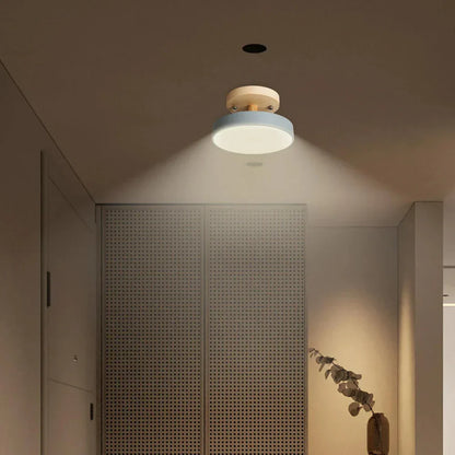 Slim Contemporary LED Ceiling Light