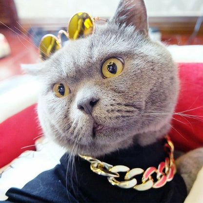 Luxury Pet Gold Plated Chain Dog Collar