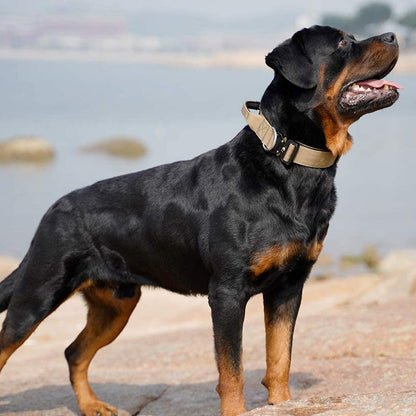 Durable Control Dog Collar with Handle – Strong Heavy Duty Collar