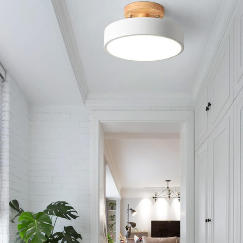 Slim Contemporary LED Ceiling Light