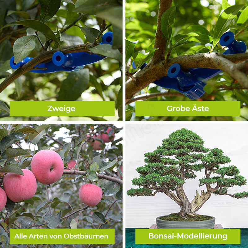 Strong Hold Spray for Branch Crafting - Fesara