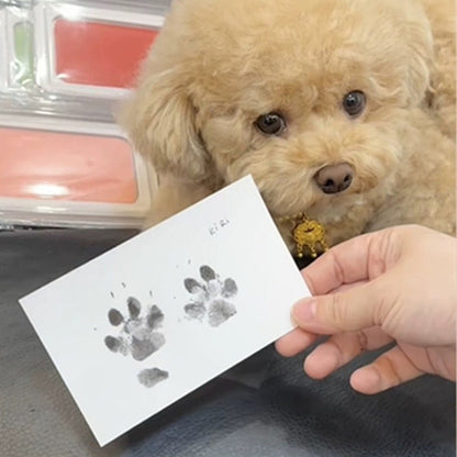 Easy Pet Paw Print Art Kit