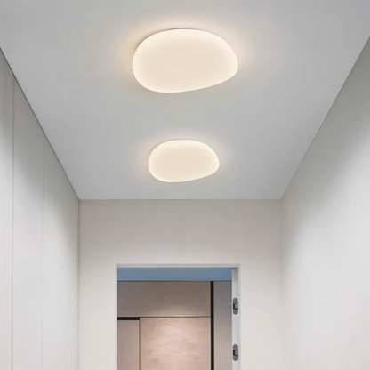 Modern Dimmable Ceiling Light