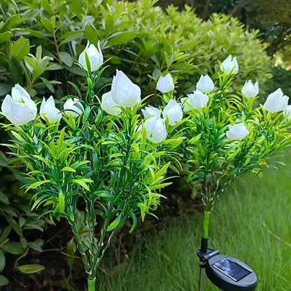Colorful Solar Powered Garden Lights
