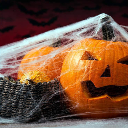 Creepy Halloween Spider Web Decor