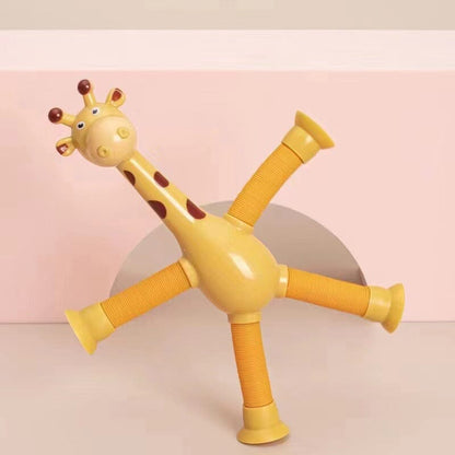 Fun Interactive Pet Toy
