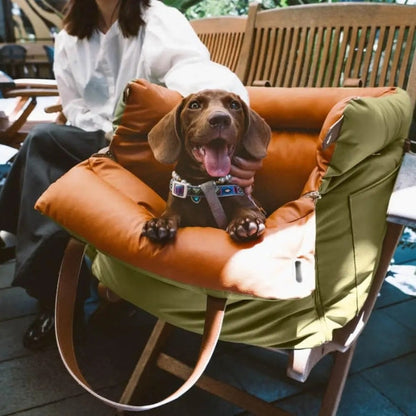 Premium Pet Car Bed & Back Seat Cover - Fesara