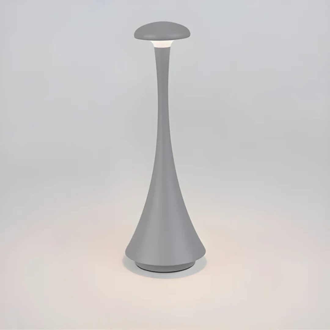 Bright Portable Desk Light