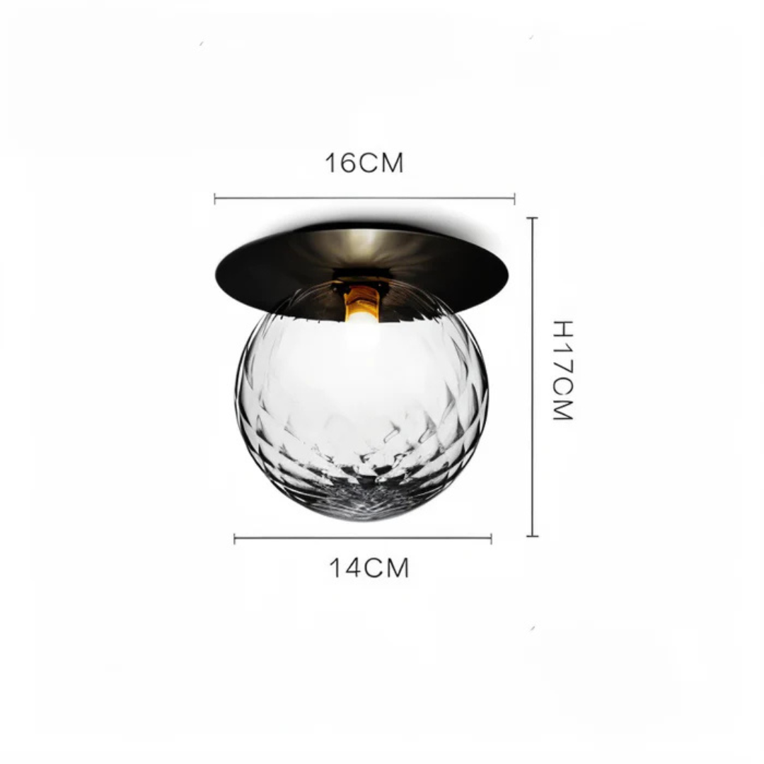 Elegant LED Ceiling and Wall Light Fixture