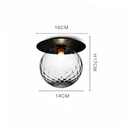 Elegant LED Ceiling and Wall Light Fixture