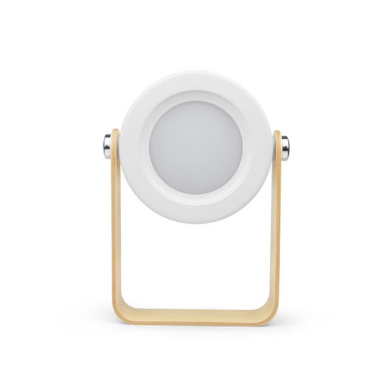 Portable Folding Desk Lamp - Fesara