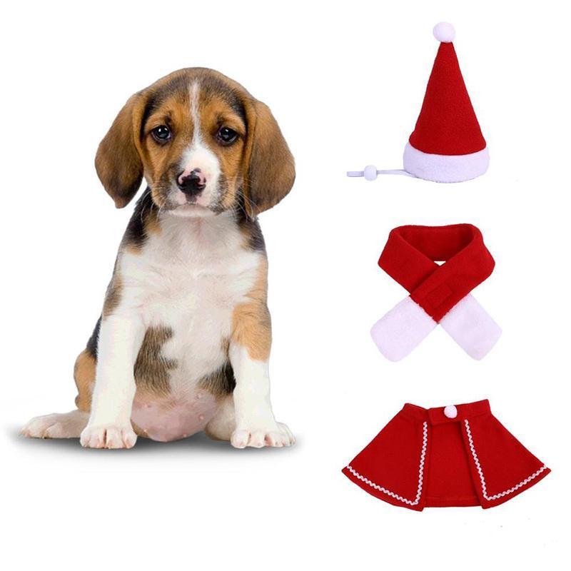 Fun Holiday Pet Costumes