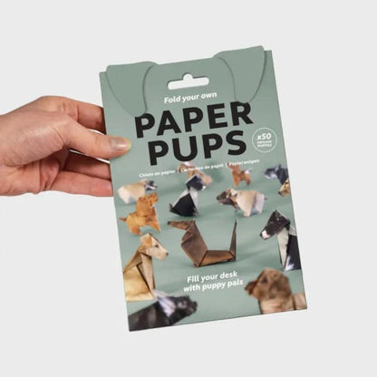 Fun Cat Paper Folding Kit