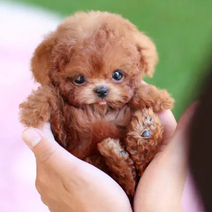 Cuddly Plush Dog Toy with Realistic Features - Fesara