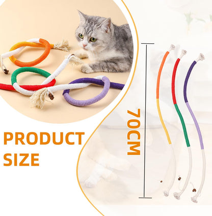 Fun Interactive Cat Toy