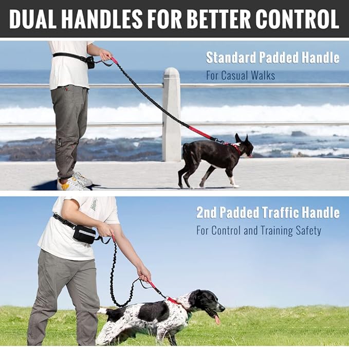 Easy Walk Dog Harness