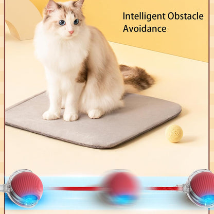 Fun Interactive Pet Toy