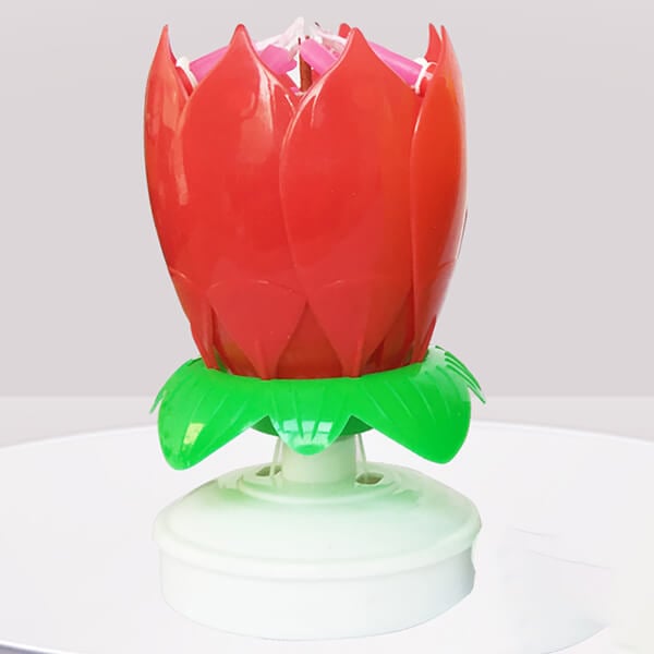 Colorful Blooming Birthday Candle