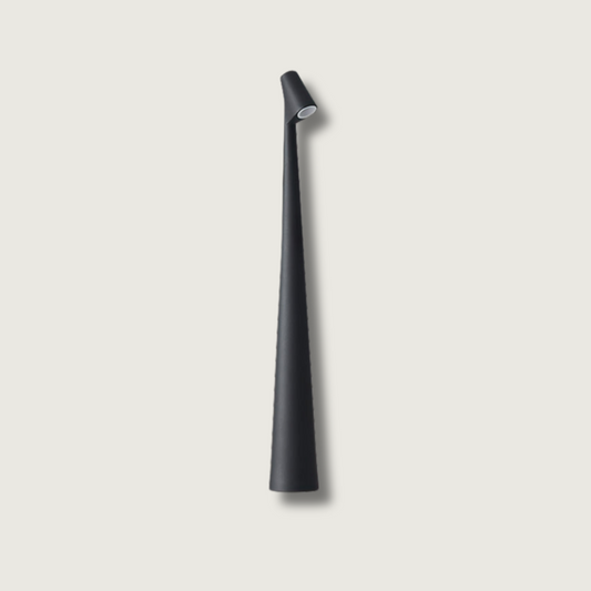 Bright LED Portable Desk Light - Fesara
