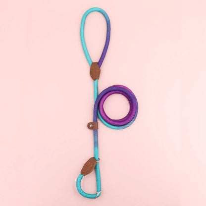 Vibrant Pet Leash for Fashionable Dog Walking