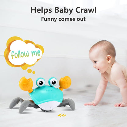 Fun Crawling Crab Toy