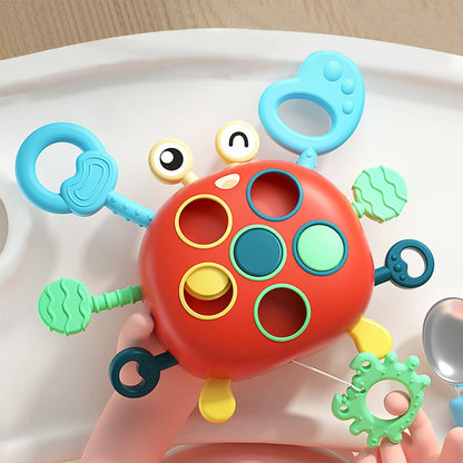 Fesara | Baby Sensory Play Toy