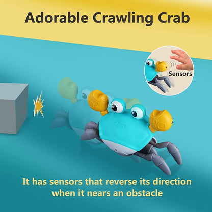 Fun Crawling Crab Toy