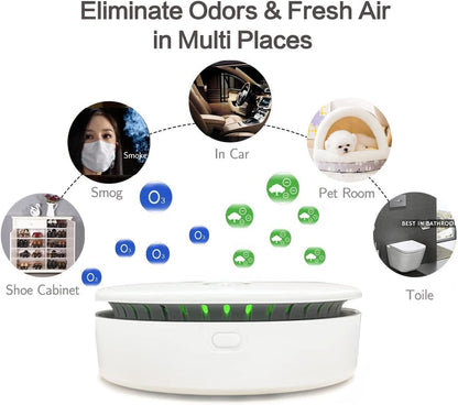 Compact Air Cleaner for Home and Pets