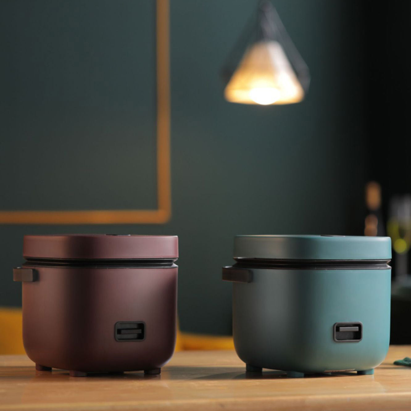 Small Electric Rice Cooker with Steam Function