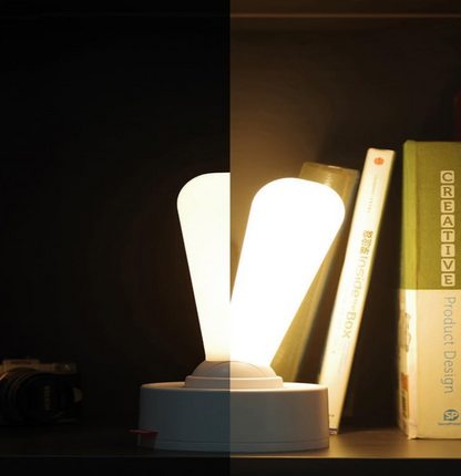 Traditional Style Desk Lamp