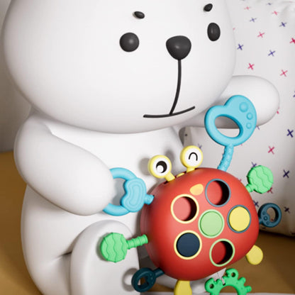 Fesara | Baby Sensory Play Toy