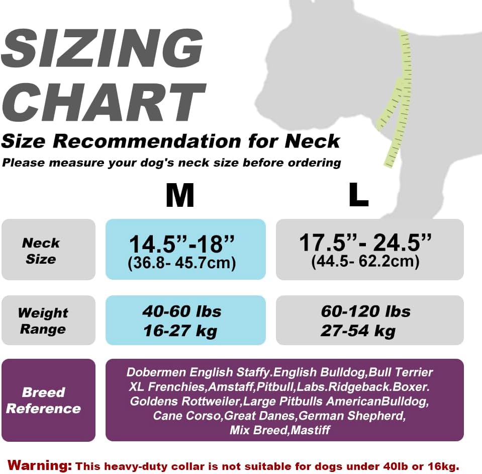 Durable Control Dog Collar with Handle – Strong Heavy Duty Collar