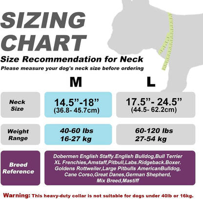 Durable Control Dog Collar with Handle – Strong Heavy Duty Collar