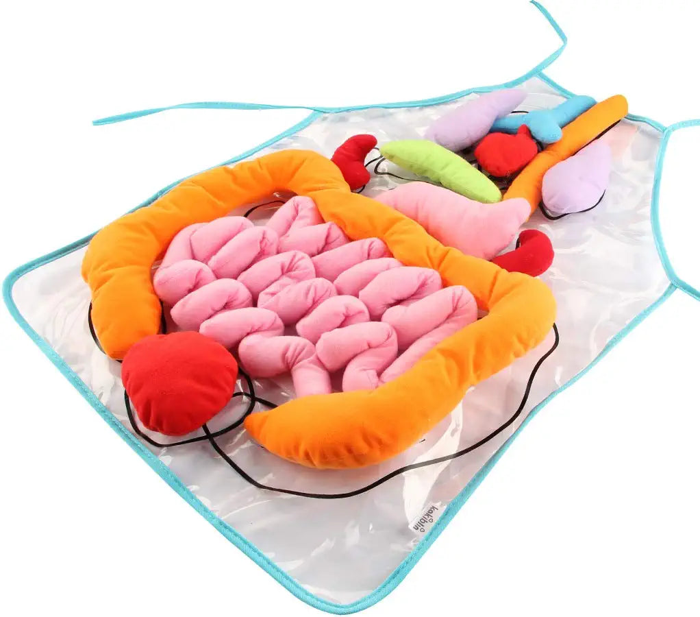 Fun Human Body Apron for Kids - Fesara