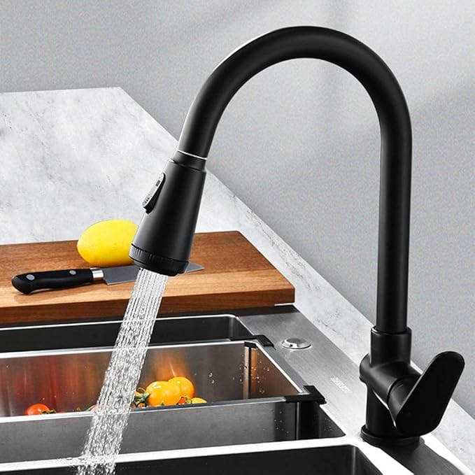 Matte Black Kitchen Faucet with Dual Spray and Single Handle