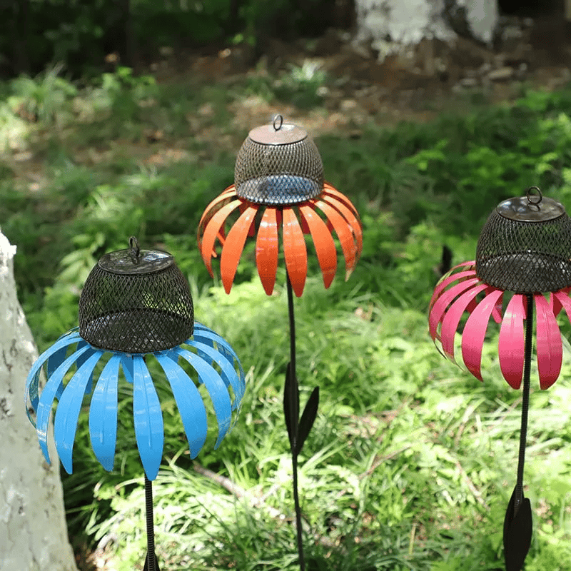 Colorful Bird Feeder with Free Flower Seeds
