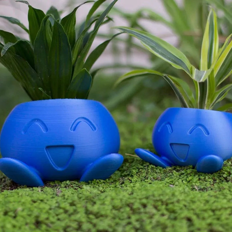 Colorful Indoor Plant Display Pot