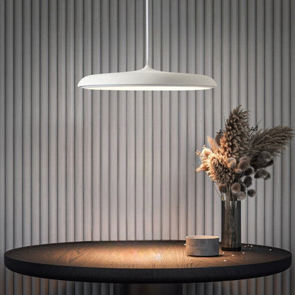 Modern Bright Hanging LED Light Fixture