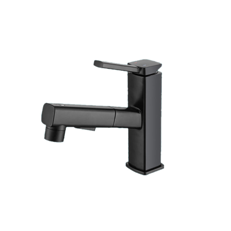 Fesara | Single Handle Pullout Kitchen Sink Faucet with Rotating Nozzle - Fesara