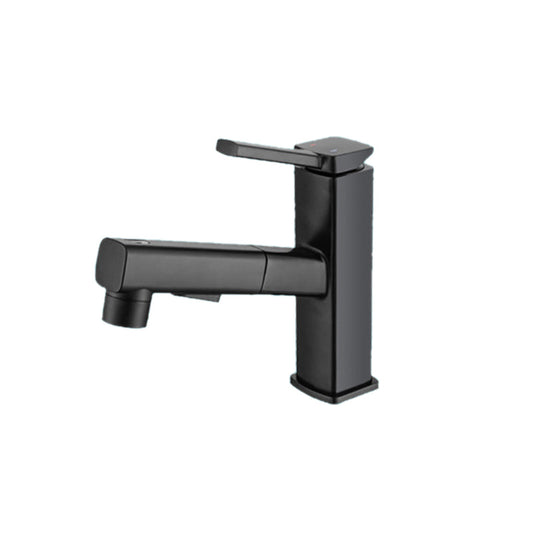 Fesara | Single Handle Pullout Kitchen Sink Faucet with Rotating Nozzle - Fesara