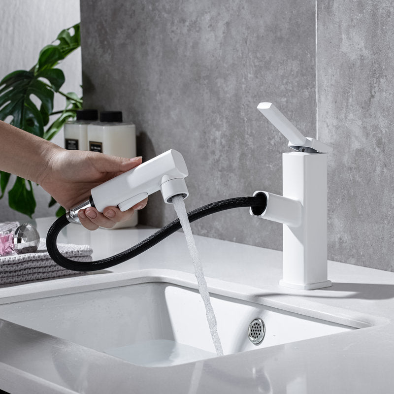 Fesara | Single Handle Pullout Kitchen Sink Faucet with Rotating Nozzle