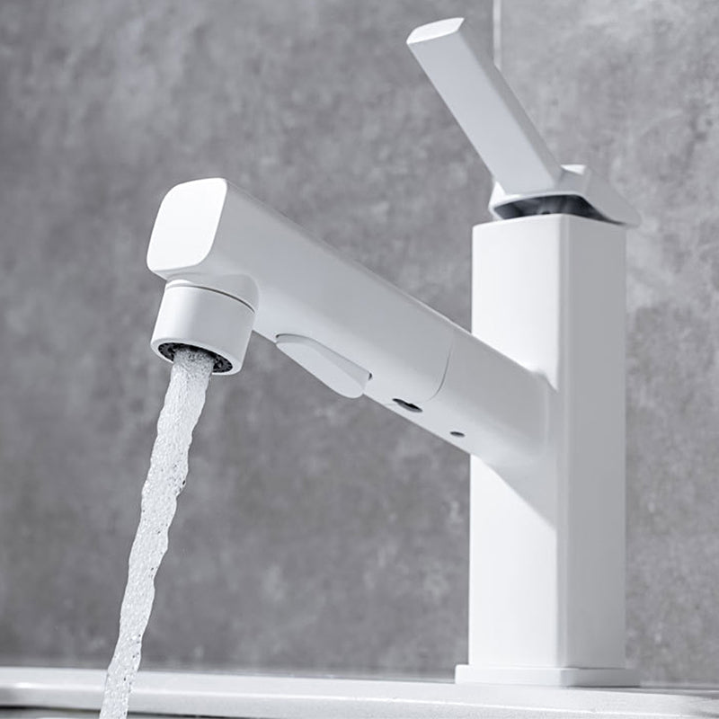 Fesara | Single Handle Pullout Kitchen Sink Faucet with Rotating Nozzle