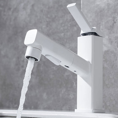Fesara | Single Handle Pullout Kitchen Sink Faucet with Rotating Nozzle