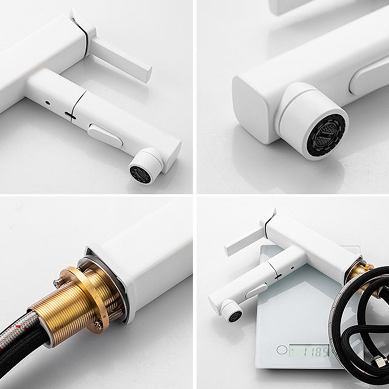 Fesara | Single Handle Pullout Kitchen Sink Faucet with Rotating Nozzle