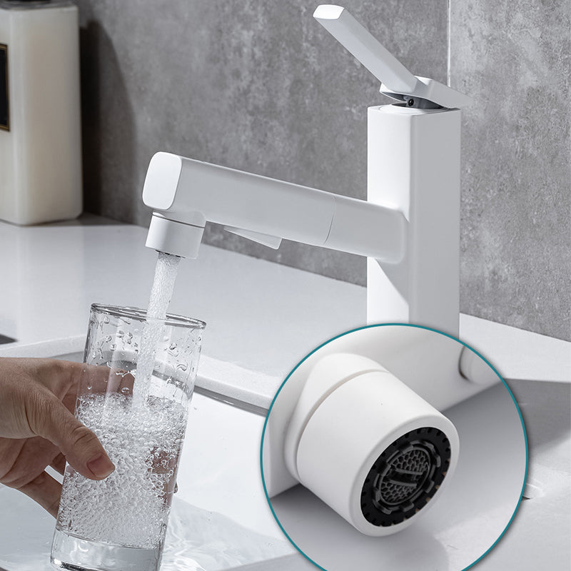 Fesara | Single Handle Pullout Kitchen Sink Faucet with Rotating Nozzle