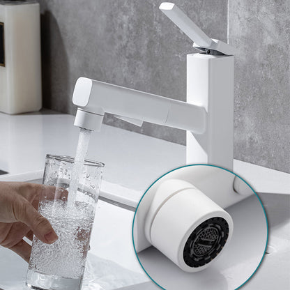 Fesara | Single Handle Pullout Kitchen Sink Faucet with Rotating Nozzle