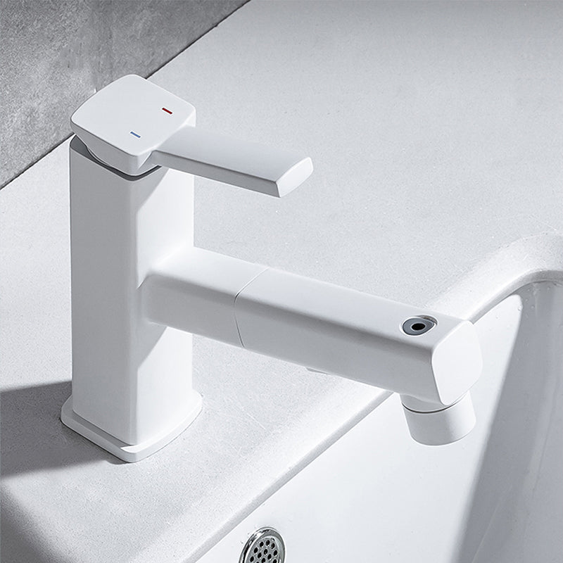 Fesara | Single Handle Pullout Kitchen Sink Faucet with Rotating Nozzle