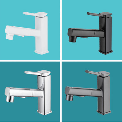 Fesara | Single Handle Pullout Kitchen Sink Faucet with Rotating Nozzle