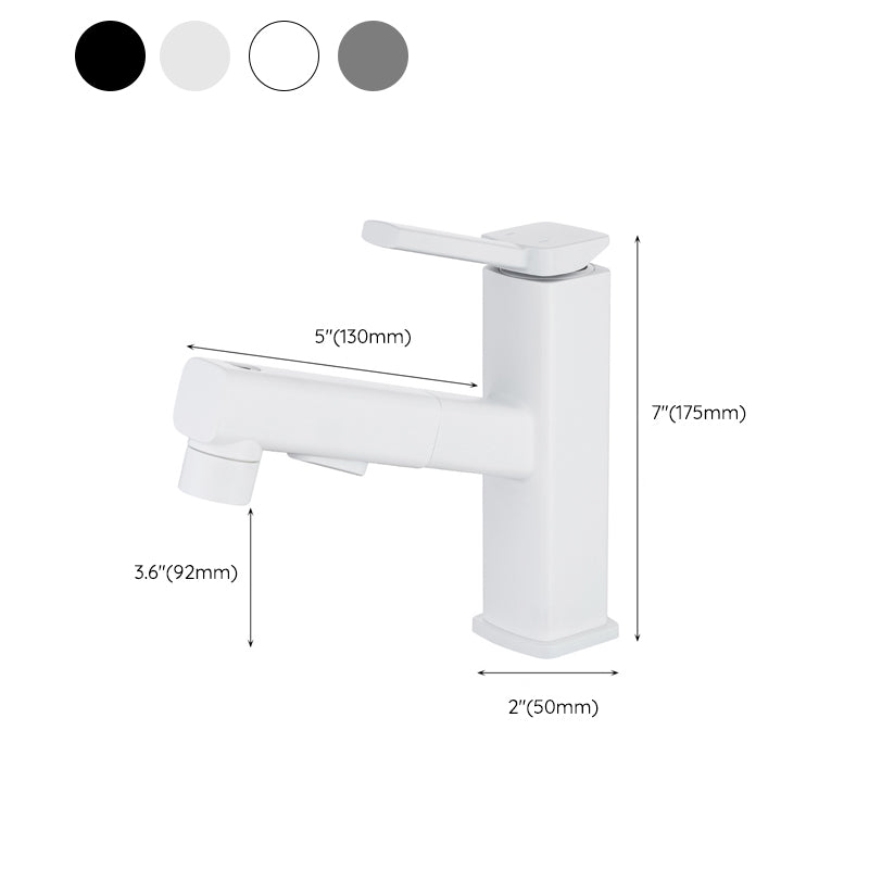 Fesara | Single Handle Pullout Kitchen Sink Faucet with Rotating Nozzle