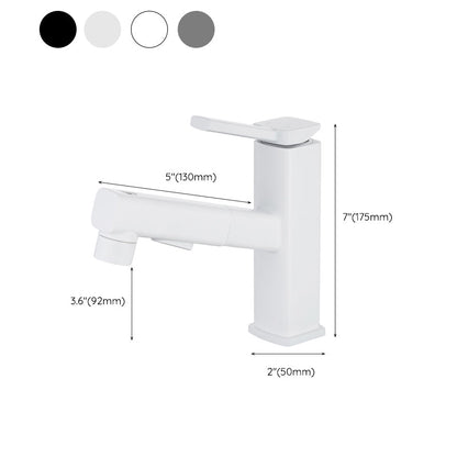 Fesara | Single Handle Pullout Kitchen Sink Faucet with Rotating Nozzle